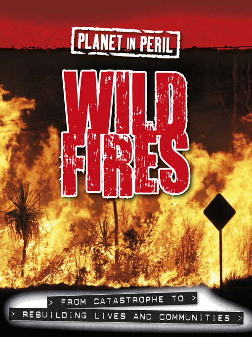 Title details for Wild Fires by Cath Senker - Available